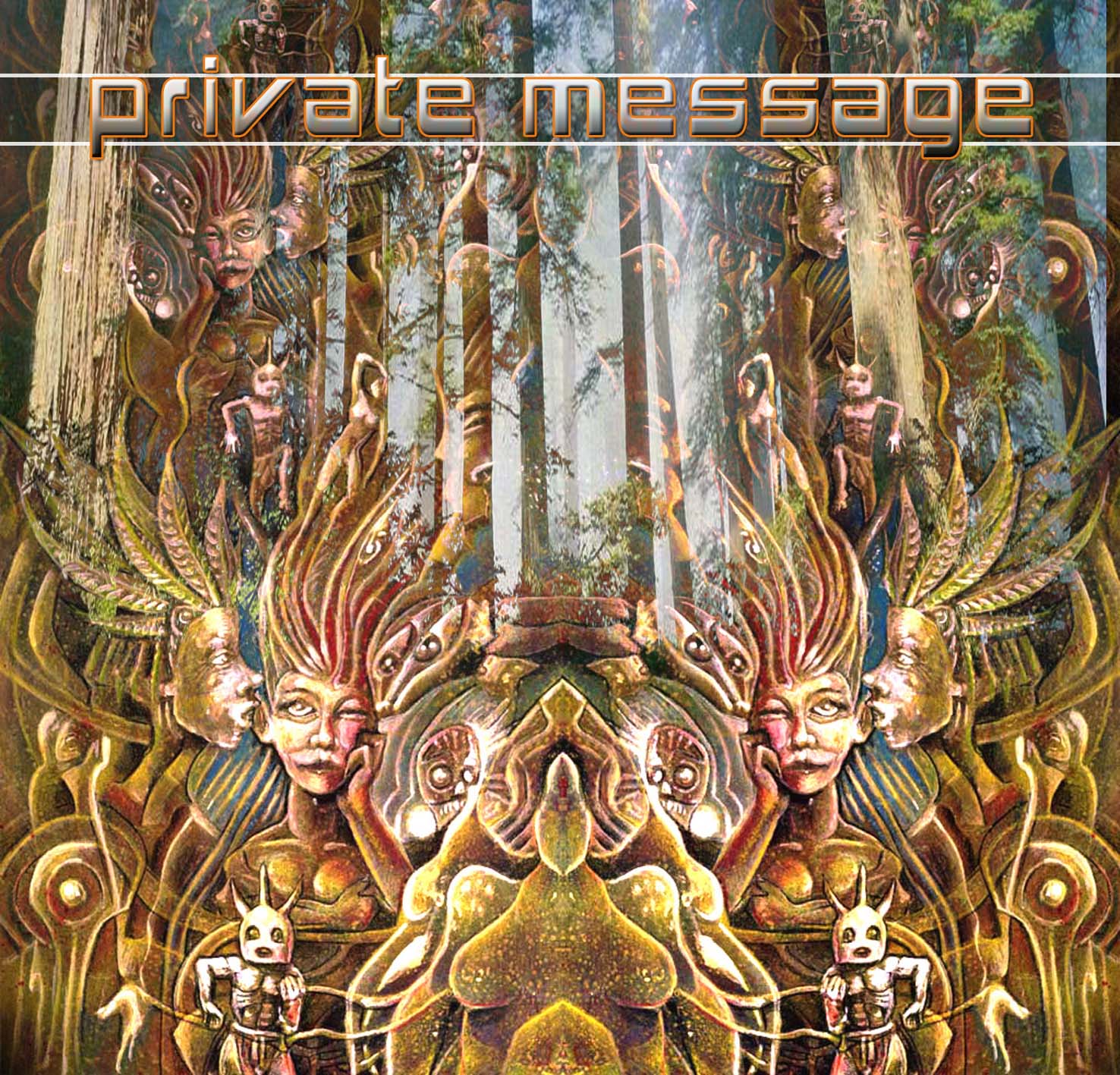 Private Message (2005) cover